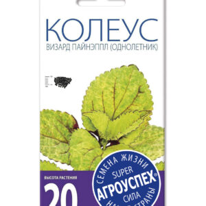 Лц/колеус Визард Пайнэппл О *10шт (600) изображение