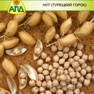 Семена Нут (турецкий горох) изображение